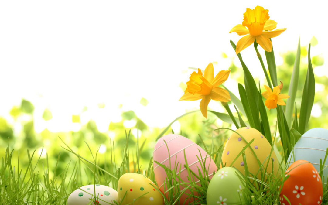 Sospensione lezioni in occasione della Festività di Pasqua